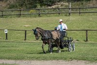 035 P02-DRESSAGE - ATTELAGE - 27052017-GAL 0655 : 2017, 27 Mai 2017, Concours ATTELAGE 2017, DR02, Dressage