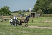 036 P02-DRESSAGE - ATTELAGE - 27052017-GAL 0656 : 2017, 27 Mai 2017, Concours ATTELAGE 2017, DR02, Dressage