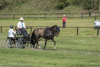 037 P02-DRESSAGE - ATTELAGE - 27052017-GAL 0657 : 2017, 27 Mai 2017, Concours ATTELAGE 2017, DR02, Dressage