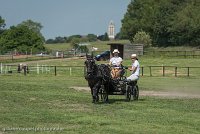 001 P03-DRESSAGE - ATTELAGE - 27052017-GAL 0658 : 2017, 27 Mai 2017, Concours ATTELAGE 2017, DR03, Dressage