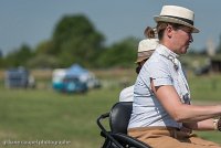 006 P03-DRESSAGE - ATTELAGE - 27052017-GAL 0663 : 2017, 27 Mai 2017, Concours ATTELAGE 2017, DR03, Dressage