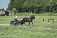 007 P03-DRESSAGE - ATTELAGE - 27052017-GAL 0664 : 2017, 27 Mai 2017, Concours ATTELAGE 2017, DR03, Dressage