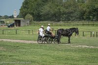 009 P03-DRESSAGE - ATTELAGE - 27052017-GAL 0667 : 2017, 27 Mai 2017, Concours ATTELAGE 2017, DR03, Dressage