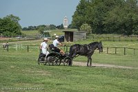 010 P03-DRESSAGE - ATTELAGE - 27052017-GAL 0668 : 2017, 27 Mai 2017, Concours ATTELAGE 2017, DR03, Dressage