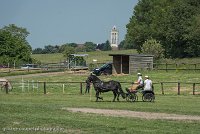 011 P03-DRESSAGE - ATTELAGE - 27052017-GAL 0669 : 2017, 27 Mai 2017, Concours ATTELAGE 2017, DR03, Dressage