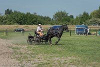 012 P03-DRESSAGE - ATTELAGE - 27052017-GAL 0670 : 2017, 27 Mai 2017, Concours ATTELAGE 2017, DR03, Dressage