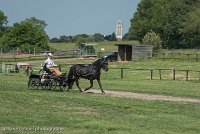 013 P03-DRESSAGE - ATTELAGE - 27052017-GAL 0671 : 2017, 27 Mai 2017, Concours ATTELAGE 2017, DR03, Dressage