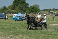 015 P03-DRESSAGE - ATTELAGE - 27052017-GAL 0673 : 2017, 27 Mai 2017, Concours ATTELAGE 2017, DR03, Dressage