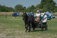 016 P03-DRESSAGE - ATTELAGE - 27052017-GAL 0674 : 2017, 27 Mai 2017, Concours ATTELAGE 2017, DR03, Dressage