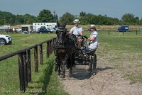 017 P03-DRESSAGE - ATTELAGE - 27052017-GAL 0675 : 2017, 27 Mai 2017, Concours ATTELAGE 2017, DR03, Dressage