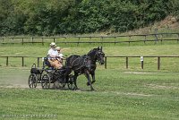 020 P03-DRESSAGE - ATTELAGE - 27052017-GAL 0678 : 2017, 27 Mai 2017, Concours ATTELAGE 2017, DR03, Dressage