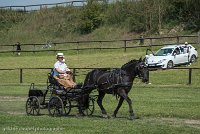 021 P03-DRESSAGE - ATTELAGE - 27052017-GAL 0679 : 2017, 27 Mai 2017, Concours ATTELAGE 2017, DR03, Dressage