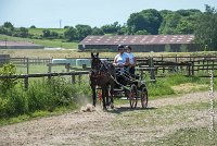 001 P03-MAGNABILITE- ATTELAGE - 27052017-ATE 0913 : 2017, 27 Mai 2017, Concours ATTELAGE 2017, Maniabilité, P03