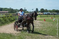 002 P03-MAGNABILITE- ATTELAGE - 27052017-ATE 0914 : 2017, 27 Mai 2017, Concours ATTELAGE 2017, Maniabilité, P03