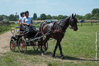 003 P03-MAGNABILITE- ATTELAGE - 27052017-ATE 0915 : 2017, 27 Mai 2017, Concours ATTELAGE 2017, Maniabilité, P03