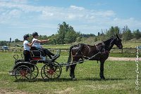 009 P03-MAGNABILITE- ATTELAGE - 27052017-ATE 0921 : 2017, 27 Mai 2017, Concours ATTELAGE 2017, Maniabilité, P03