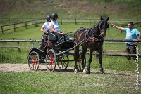 010 P03-MAGNABILITE- ATTELAGE - 27052017-ATE 0941 : 2017, 27 Mai 2017, Concours ATTELAGE 2017, Maniabilité, P03