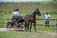 011 P03-MAGNABILITE- ATTELAGE - 27052017-ATE 0942 : 2017, 27 Mai 2017, Concours ATTELAGE 2017, Maniabilité, P03