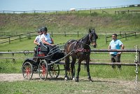 012 P03-MAGNABILITE- ATTELAGE - 27052017-ATE 0943 : 2017, 27 Mai 2017, Concours ATTELAGE 2017, Maniabilité, P03