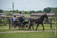 013 P03-MAGNABILITE- ATTELAGE - 27052017-ATE 1055 : 2017, 27 Mai 2017, Concours ATTELAGE 2017, Maniabilité, P03