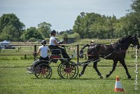 014 P03-MAGNABILITE- ATTELAGE - 27052017-ATE 1056 : 2017, 27 Mai 2017, Concours ATTELAGE 2017, Maniabilité, P03