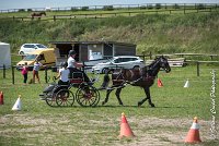 015 P03-MAGNABILITE- ATTELAGE - 27052017-ATE 1057 : 2017, 27 Mai 2017, Concours ATTELAGE 2017, Maniabilité, P03