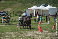 018 P03-MAGNABILITE- ATTELAGE - 27052017-ATE 1060 : 2017, 27 Mai 2017, Concours ATTELAGE 2017, Maniabilité, P03