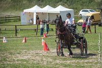 019 P03-MAGNABILITE- ATTELAGE - 27052017-ATE 1061 : 2017, 27 Mai 2017, Concours ATTELAGE 2017, Maniabilité, P03