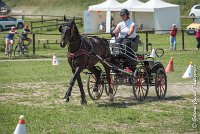 020 P03-MAGNABILITE- ATTELAGE - 27052017-ATE 1062 : 2017, 27 Mai 2017, Concours ATTELAGE 2017, Maniabilité, P03