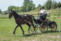 021 P03-MAGNABILITE- ATTELAGE - 27052017-ATE 1063 : 2017, 27 Mai 2017, Concours ATTELAGE 2017, Maniabilité, P03