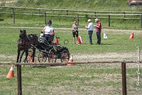 022 P03-MAGNABILITE- ATTELAGE - 27052017-ATE 1064 : 2017, 27 Mai 2017, Concours ATTELAGE 2017, Maniabilité, P03