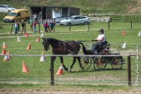 023 P03-MAGNABILITE- ATTELAGE - 27052017-ATE 1065 : 2017, 27 Mai 2017, Concours ATTELAGE 2017, Maniabilité, P03