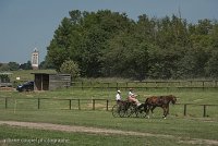 002 P04-DRESSAGE - ATTELAGE - 27052017-GAL 0681 : 2017, 27 Mai 2017, Concours ATTELAGE 2017, DR04, Dressage