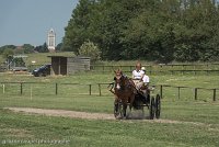 003 P04-DRESSAGE - ATTELAGE - 27052017-GAL 0682 : 2017, 27 Mai 2017, Concours ATTELAGE 2017, DR04, Dressage