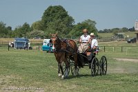 004 P04-DRESSAGE - ATTELAGE - 27052017-GAL 0683 : 2017, 27 Mai 2017, Concours ATTELAGE 2017, DR04, Dressage