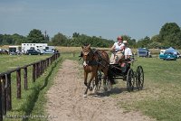 005 P04-DRESSAGE - ATTELAGE - 27052017-GAL 0684 : 2017, 27 Mai 2017, Concours ATTELAGE 2017, DR04, Dressage