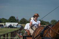 006 P04-DRESSAGE - ATTELAGE - 27052017-GAL 0685 : 2017, 27 Mai 2017, Concours ATTELAGE 2017, DR04, Dressage