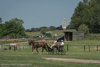 008 P04-DRESSAGE - ATTELAGE - 27052017-GAL 0687 : 2017, 27 Mai 2017, Concours ATTELAGE 2017, DR04, Dressage