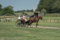 009 P04-DRESSAGE - ATTELAGE - 27052017-GAL 0688 : 2017, 27 Mai 2017, Concours ATTELAGE 2017, DR04, Dressage