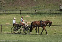 010 P04-DRESSAGE - ATTELAGE - 27052017-GAL 0689 : 2017, 27 Mai 2017, Concours ATTELAGE 2017, DR04, Dressage