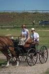 011 P04-DRESSAGE - ATTELAGE - 27052017-GAL 0690 : 2017, 27 Mai 2017, Concours ATTELAGE 2017, DR04, Dressage