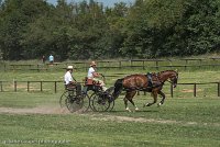 012 P04-DRESSAGE - ATTELAGE - 27052017-GAL 0691 : 2017, 27 Mai 2017, Concours ATTELAGE 2017, DR04, Dressage