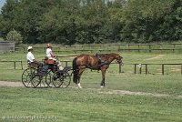 013 P04-DRESSAGE - ATTELAGE - 27052017-GAL 0692 : 2017, 27 Mai 2017, Concours ATTELAGE 2017, DR04, Dressage