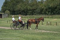 014 P04-DRESSAGE - ATTELAGE - 27052017-GAL 0693 : 2017, 27 Mai 2017, Concours ATTELAGE 2017, DR04, Dressage