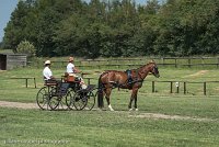 015 P04-DRESSAGE - ATTELAGE - 27052017-GAL 0694 : 2017, 27 Mai 2017, Concours ATTELAGE 2017, DR04, Dressage