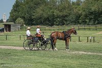 016 P04-DRESSAGE - ATTELAGE - 27052017-GAL 0695 : 2017, 27 Mai 2017, Concours ATTELAGE 2017, DR04, Dressage