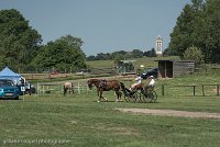 017 P04-DRESSAGE - ATTELAGE - 27052017-GAL 0696 : 2017, 27 Mai 2017, Concours ATTELAGE 2017, DR04, Dressage