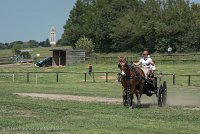 018 P04-DRESSAGE - ATTELAGE - 27052017-GAL 0697 : 2017, 27 Mai 2017, Concours ATTELAGE 2017, DR04, Dressage