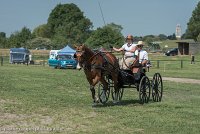 019 P04-DRESSAGE - ATTELAGE - 27052017-GAL 0698 : 2017, 27 Mai 2017, Concours ATTELAGE 2017, DR04, Dressage