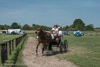 020 P04-DRESSAGE - ATTELAGE - 27052017-GAL 0699 : 2017, 27 Mai 2017, Concours ATTELAGE 2017, DR04, Dressage